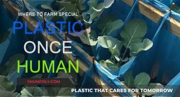 Best Farming Spots for Special Plastic in Once Human