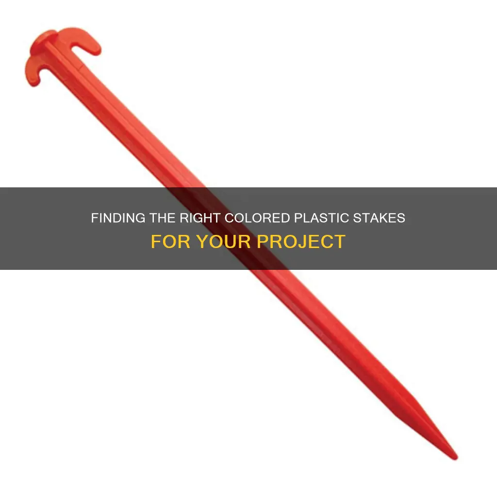 where to find colored plastic stakes ace