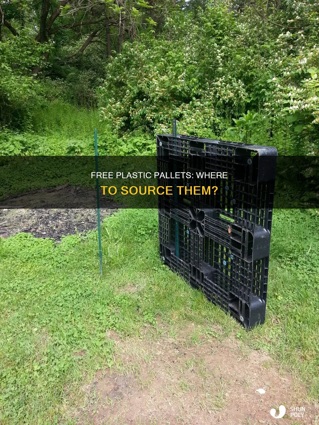 where to find free plastic pallets
