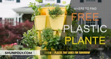 Free Plastic Planters: Where to Find Them