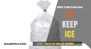 Best Places to Find Plastic Bags for Ice Storage
