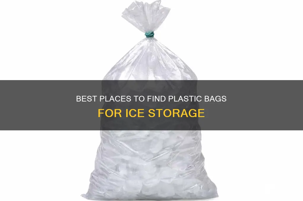 where to find plastic bags to keep ice