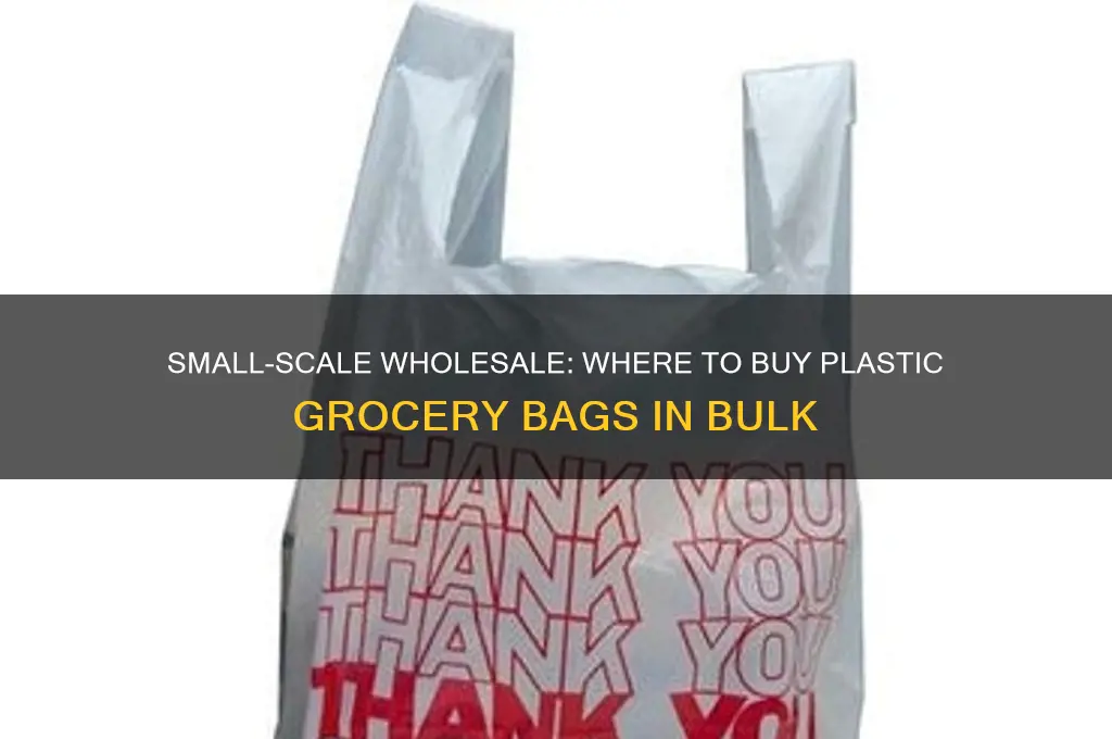 where to find plastic grocery bags wholesale in small quantities