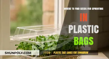 Discover Sprouting Seeds in Plastic Bags: Top Sources and Tips