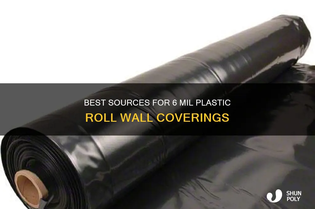 where to get 6 mil plastic roll for walls