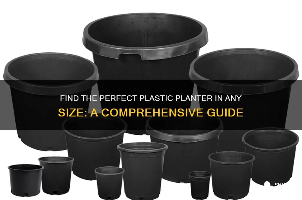 where to get any size plastic planter