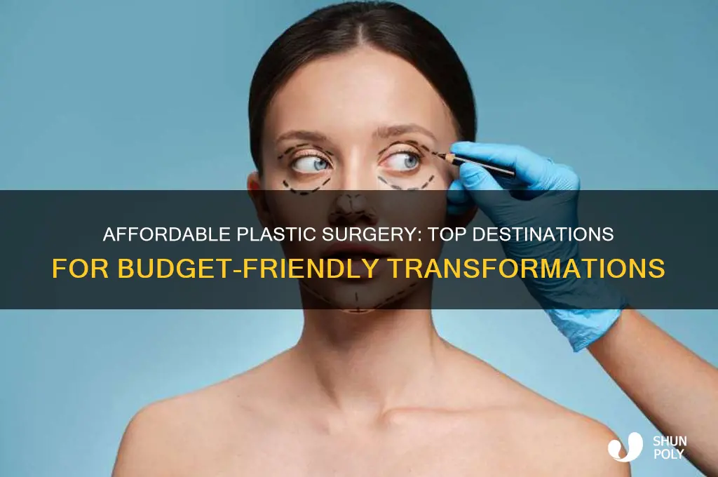 where to get best cheap plastic surgury