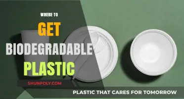 Eco-Friendly Solutions: Top Sources for Biodegradable Plastic Products