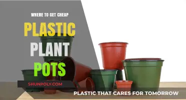 Affordable Plastic Plant Pots: Top Places to Buy on a Budget