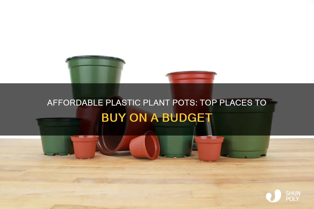 where to get cheap plastic plant pots