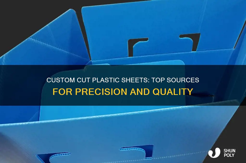 where to get custom cut plastic sheet