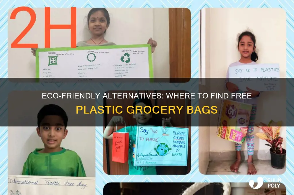 where to get free plastic grocery bags