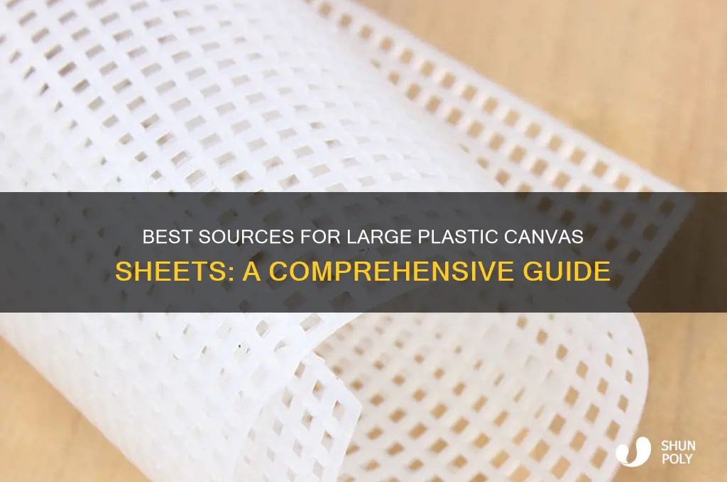 where to get large sheets of plastic canvad