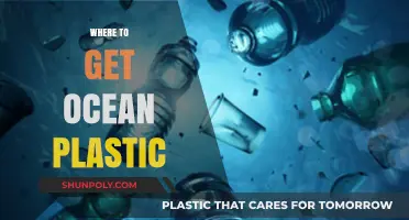 Sourcing Ocean Plastic: Ethical Collection Points and Recycling Hubs