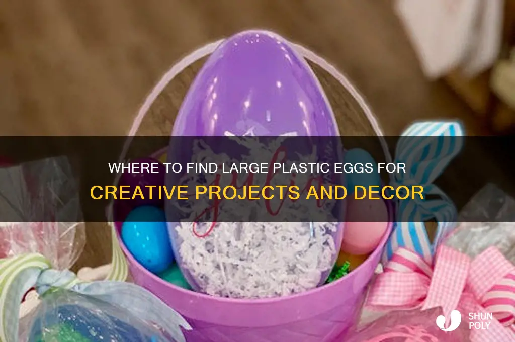 where to get plastic big eggs