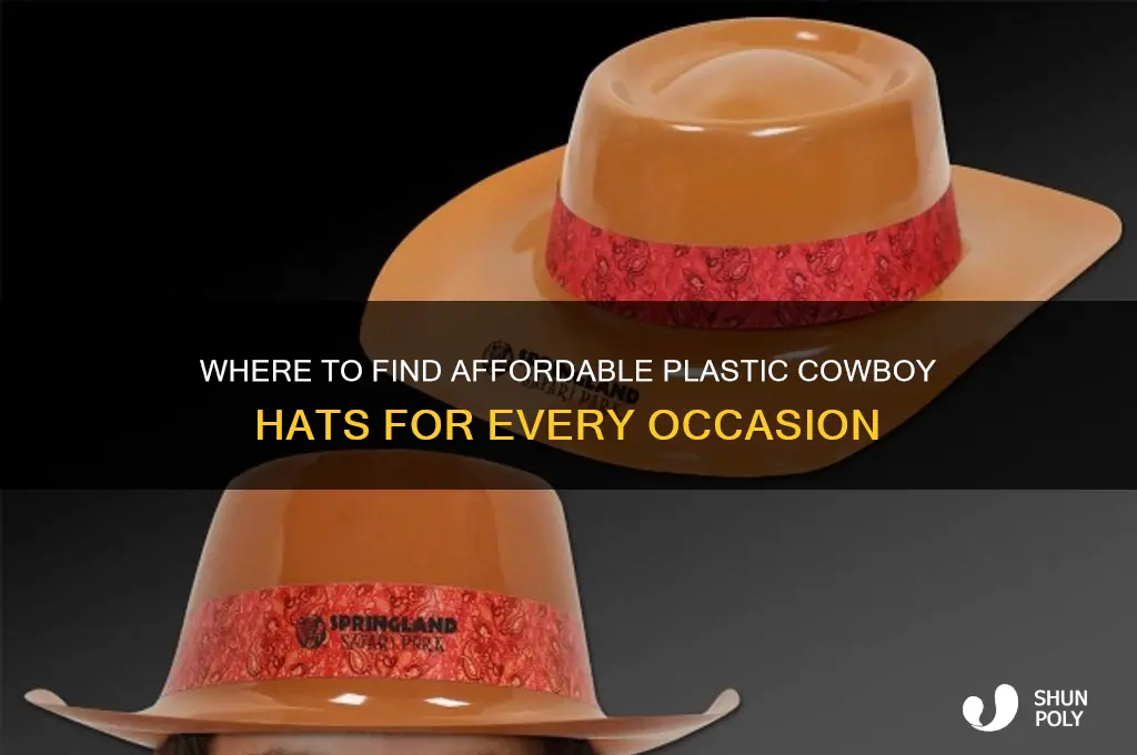 where to get plastic cowboy hats