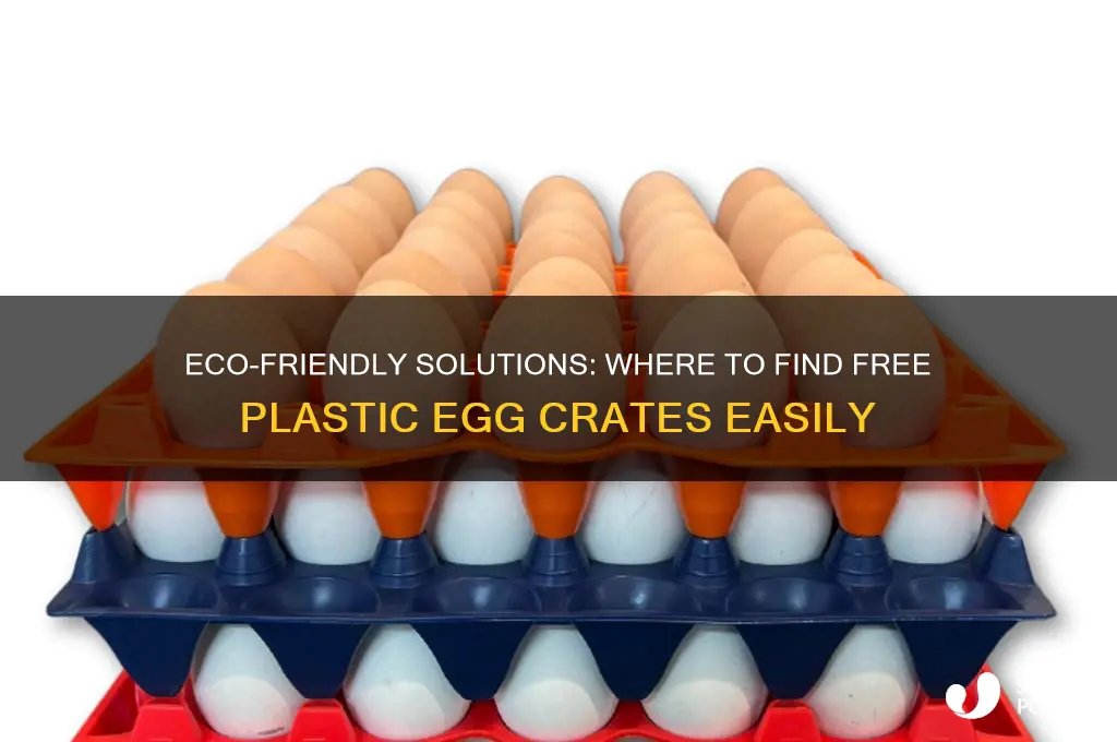 where to get plastic egg crate free