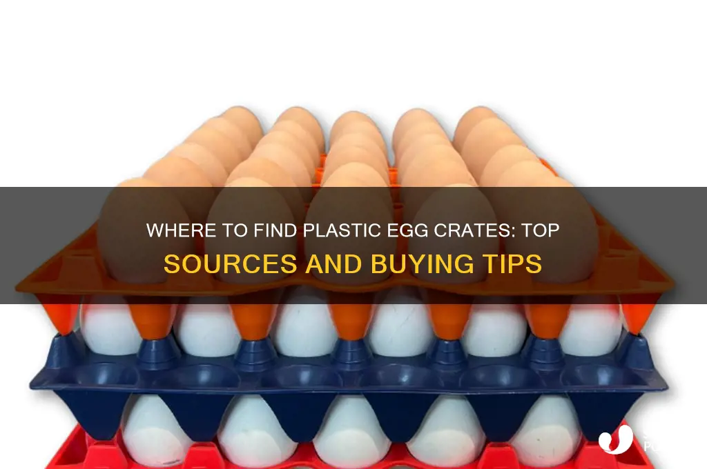 where to get plastic egg crates