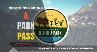 Every Kid in a Park Pass: Where to Get Your Free Plastic Access