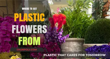 Best Places to Buy High-Quality Plastic Flowers for Any Occasion