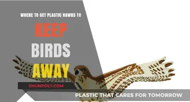 Effective Bird Deterrent: Where to Buy Plastic Hawks for Your Space