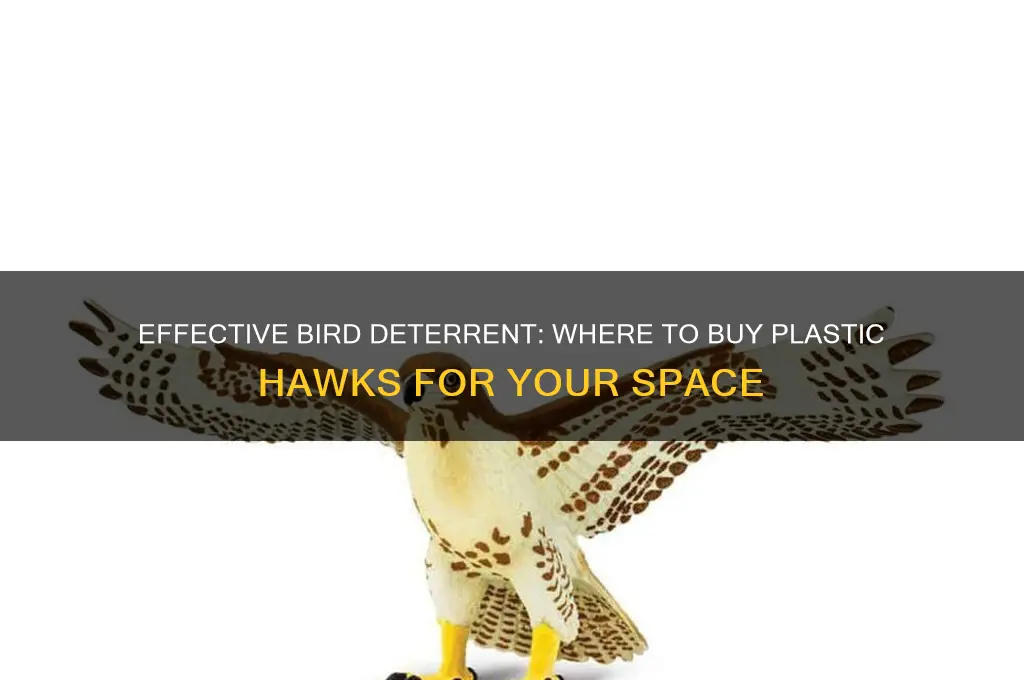 where to get plastic hawks to keep birds away