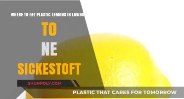 Where to Find Plastic Lemons in Lowhow: A Sickest-of-the-Sick Guide