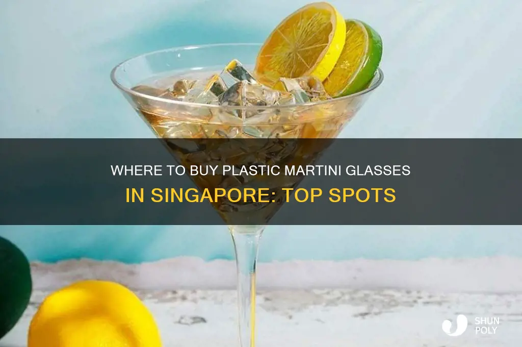 where to get plastic martini glasses in singapore