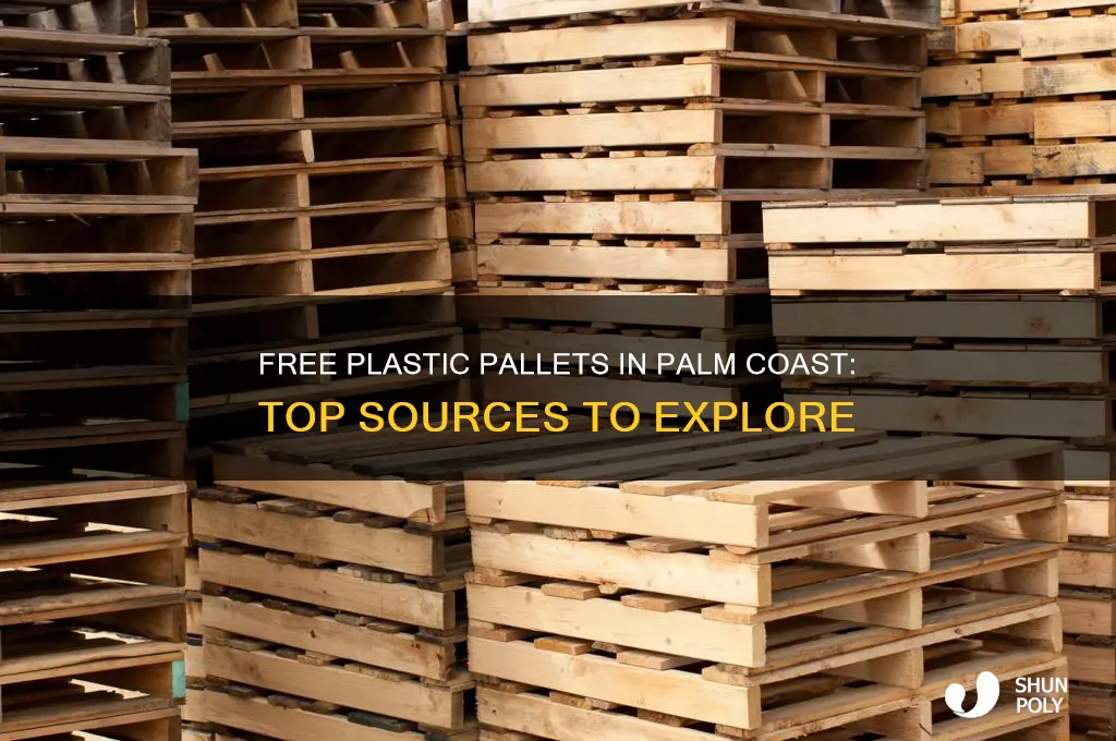 where to get plastic pallets for free in palm coast