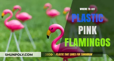 Where to Find Plastic Pink Flamingos for Your Lawn Decor