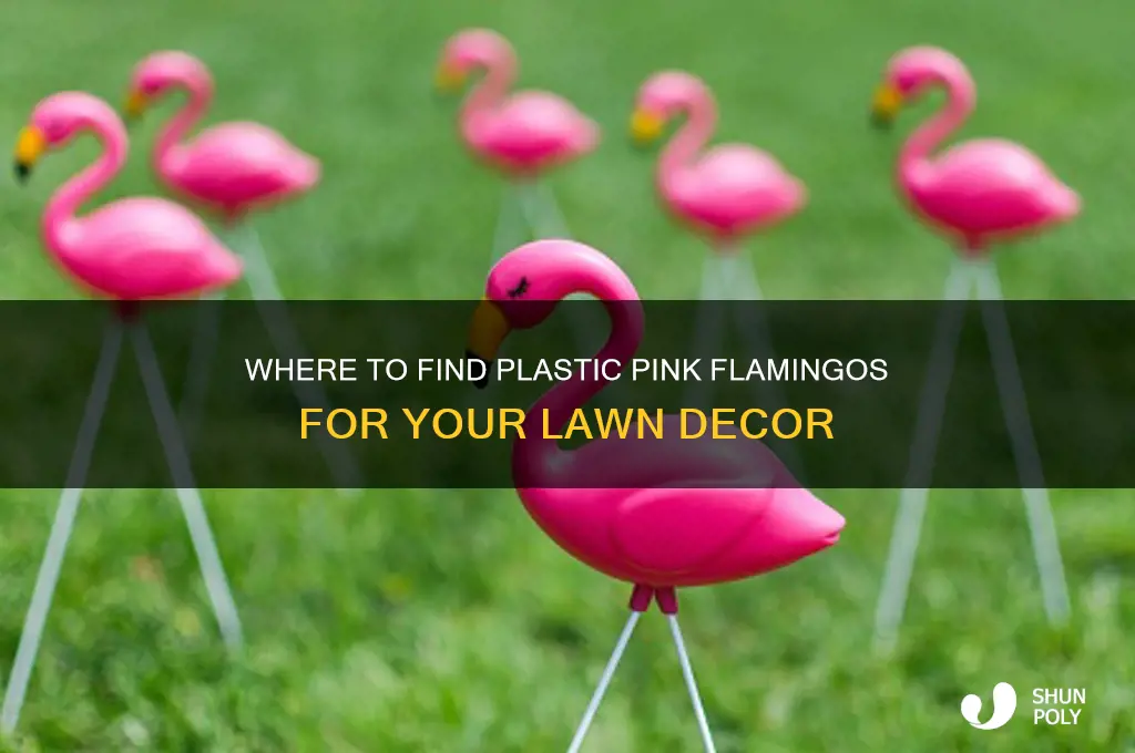 where to get plastic pink flamingos