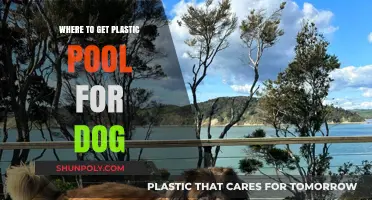 Best Places to Buy a Plastic Pool for Your Dog
