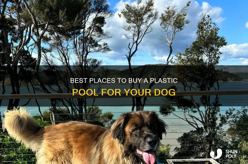 where to get plastic pool for dog