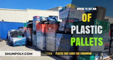 Eco-Friendly Disposal: Where to Recycle or Reuse Plastic Pallets