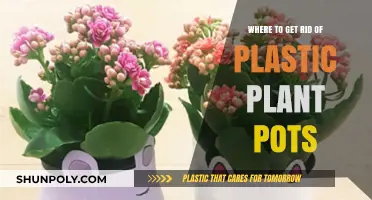 Eco-Friendly Disposal: Where to Recycle or Reuse Plastic Plant Pots