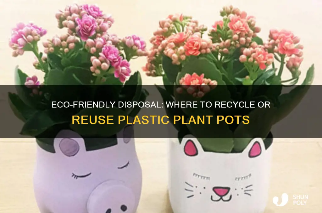 where to get rid of plastic plant pots