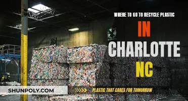 Charlotte, NC's Top Plastic Recycling Locations
