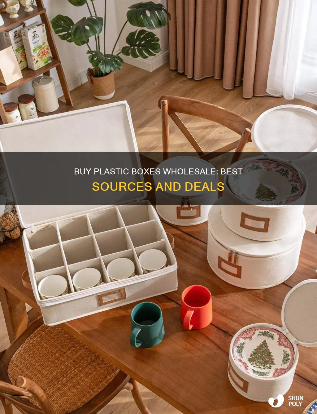 where to guy plastic boxes in wholesale