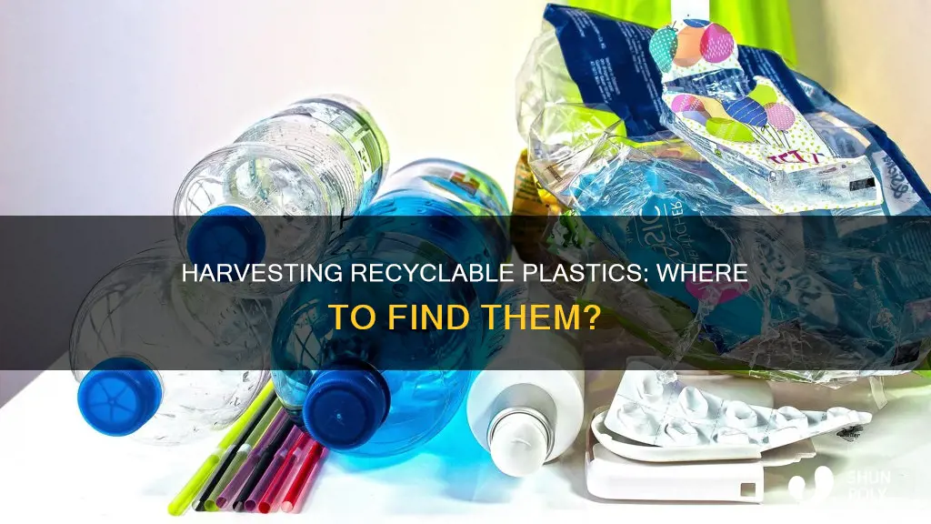 where to harvest recycleable plastic