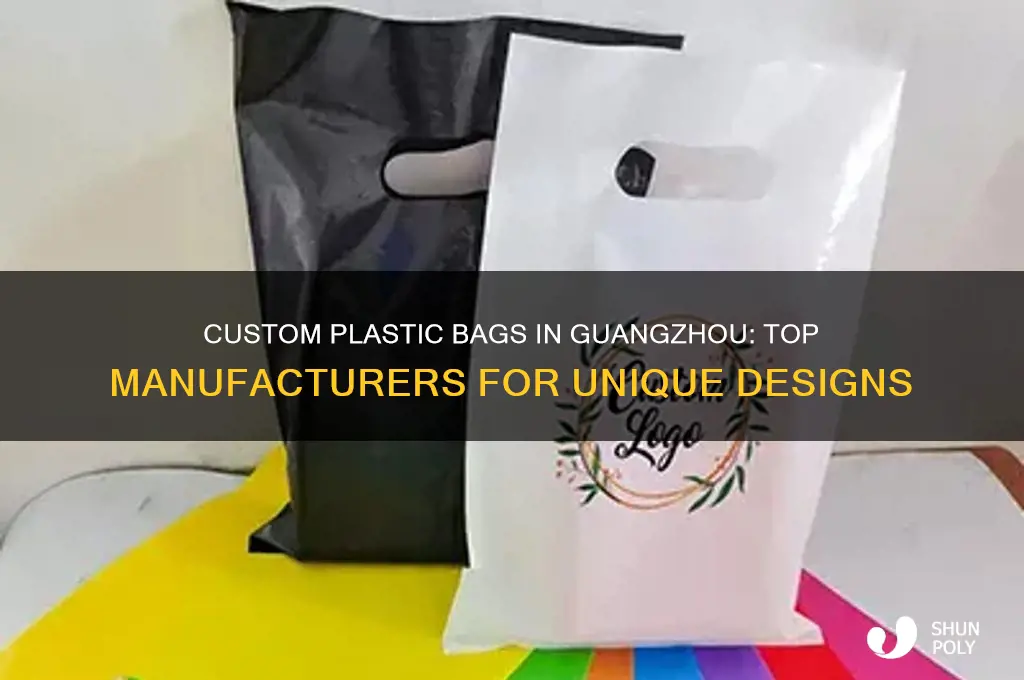 where to make customized plastic bag in guangzhou