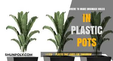 Optimal Drainage Hole Placement for Healthy Plants in Plastic Pots