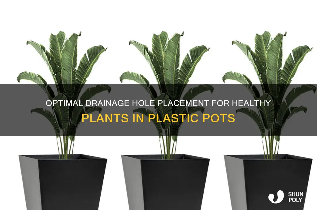 where to make drainage holes in plastic pots