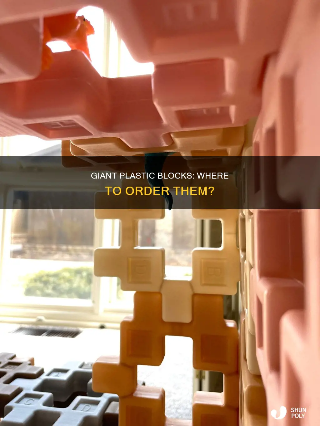 where to order gaint plastic blocks