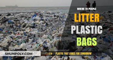 Where Do Plastic Bags End Up? Common Littering Hotspots Revealed