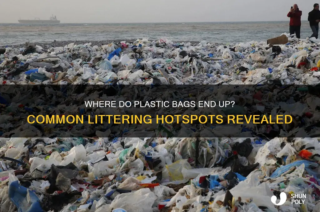 where to people litter plastic bags