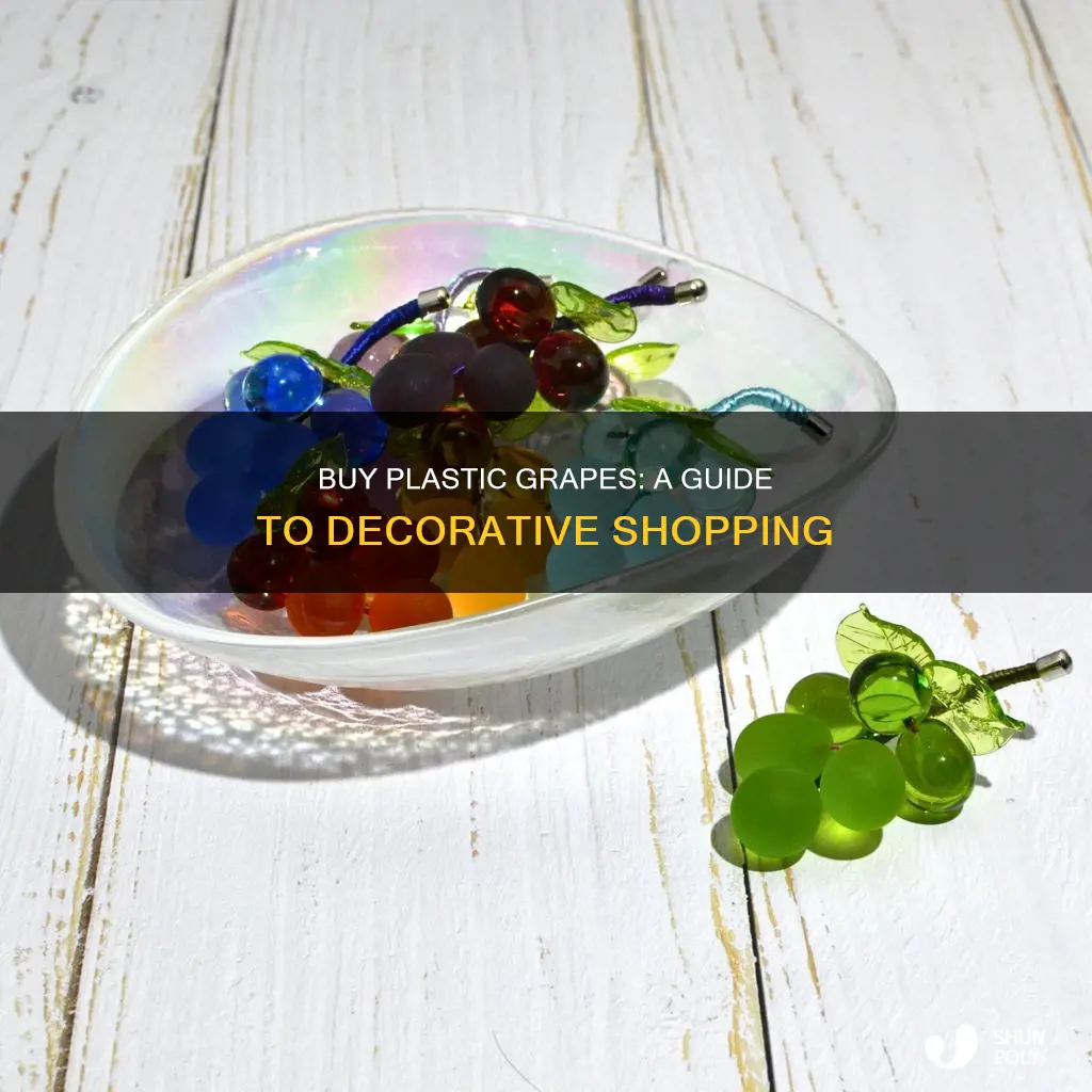 where to pruchase devorative plastic grapes