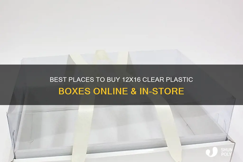 where to purchase 12x16 clear plastic boxes