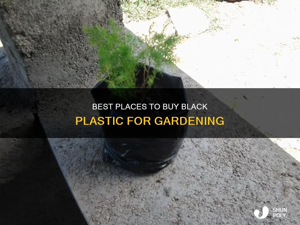 where to purchase black plastic for gardening