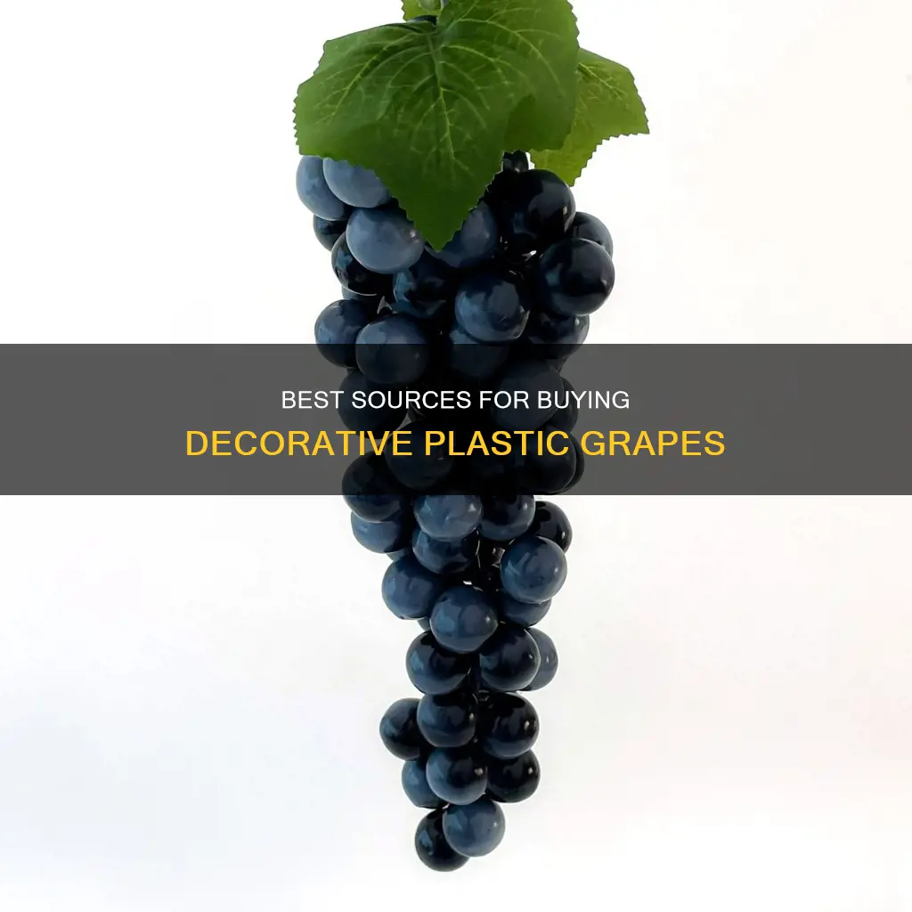 where to purchase decorative plastic grapes