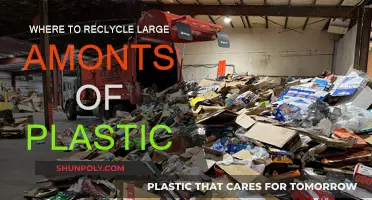 Recycling Plastic: Large-Scale Solutions for Eco-Friendly Disposal